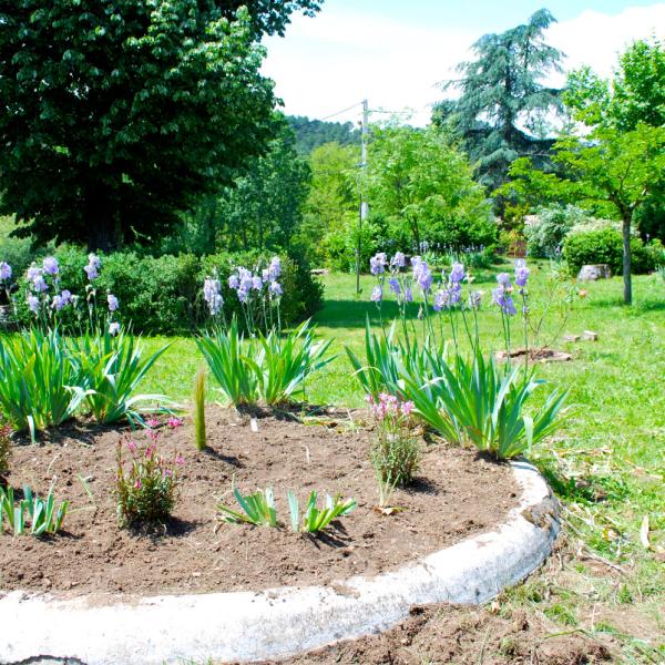 Parc devant la maison